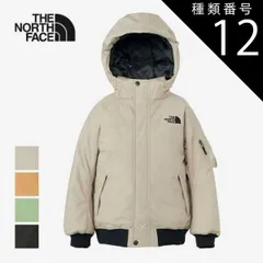 Amazon.co.jp: [ザノースフェイス] メンズ WinterPark Jacket