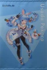 ホロライブ 兎田ぺこら 等身大タペストリー 2025年最新】兎田ぺこら 誕生日記念2023 等身大タペストリーの人気