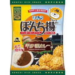 ぼんち ぼんち揚 甲子園カレー味 50g×20袋