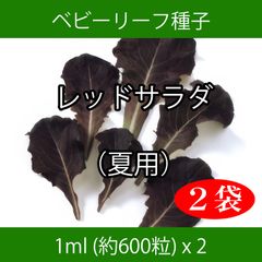 ベビーリーフ種子 B-15 レッドサラダ（夏用） 1ml 約600粒 x 2袋