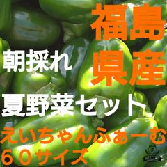 福島県産!おまかせ夏野菜セット６０サイズ