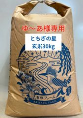玄米甘酒【特別栽培米コシヒカリ、湧水使用】濃縮タイプ500ml×10本 玄米甘酒【特別栽培米コシヒカリ、湧水使用】500ml×2