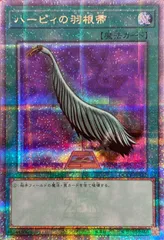 2025年最新】ハーピィの羽根帚 25の人気アイテム - メルカリ