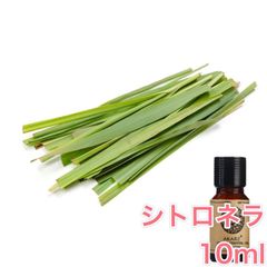 シトロネラ 10ml×1本 エッセンシャルオイル アロマオイル 無希釈 天然 無添加 アロマストーン アロマディフューザー 芳香 ルームフレグランス 香水