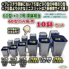 ミニプラ鉢専門店＊プレステラ深鉢にない2号より小さく深めの1.7号スマートロング-ミニスリット深鉢60型-黒10鉢セット＊擦り傷あり★ぶ厚く鉢底の通気・排水重視-＠多肉植物・塊根植物コーデックス・アガベ・ハオルチア・アデニウム・実生・観葉＠フラワーショップ江口のサムネイル