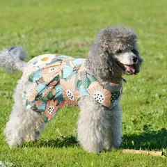 2024年最新】犬服ワンピース夏の人気アイテム - メルカリ