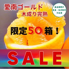 SALE‼️愛南町産　樹齢20年以上　農薬不使用　愛南ゴールド８kg限定５０箱
