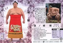 大相撲 逸ノ城の手形色紙と反物 手形色紙 - 相撲銘品館