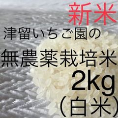 無農薬米 ヒノヒカリ 2kg 白米 令和４年産 福岡県筑後市産