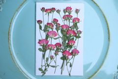 押し花バラ30輪