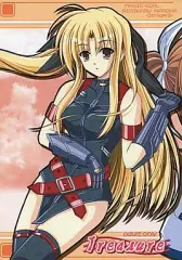 【中古】男性向一般同人誌 ≪魔法少女リリカルなのは≫ Treasure / 桜雪