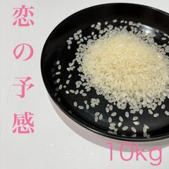 令和7年 山口県産 恋の予感 玄米20キロ③ - メルカリ