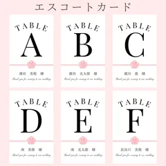 エスコートカード215席札ウェルカムボードウェルカムスペースセット結婚式受付サインセットウェディングまとめ売りテーブルナンバー芳名帳ゲストカード席札結婚証明書子育て感謝状A4サイズブライダルブーケカラードレス当てペーパーアイテムゲストカードお車代御車代封筒