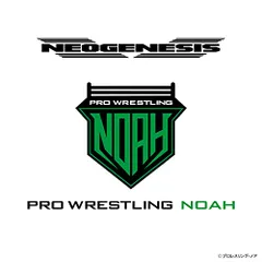 プロレスリングノアトレーディングアクリルキーホルダー　矢野安崇 プロレスリングノアトレーディングアクリルキーホルダー 矢野安