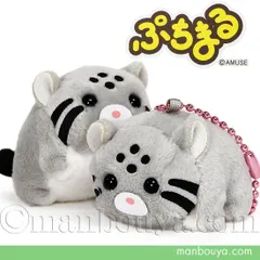 マヌルネコ ぬいぐるみ 猫 ぷちまる アミューズ AMUFUN アニマルズDX まぬるねこ 5cm キーホルダー バッグチャーム