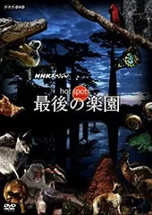 ホットスポット DVDレンタル落ち ホットスポット DVDレンタル落ち - メルカリ