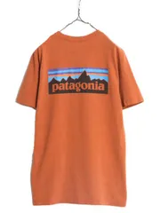 【お得なクーポン配布中!】 18年製 パタゴニア 両面 プリント 半袖 Tシャツ メンズ М 古着 Patagonia アウトドア フィッツロイ イラスト ボックスロゴ バックプリント