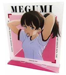 [중고] 아크릴 스탠드 아크릴 패널 카토 메구미 BIG 아크릴 스탠드 vol.2 [그렇지 않은 그녀의 키우는 방법 Fine]