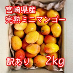 宮崎県産 完熟マンゴー 訳あり 3kg 7-12玉 - メルカリ