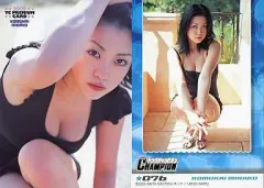 【中古】コレクションカード(女性) 076 ： 小向美奈子/2005 YC PREMIUM CARD
