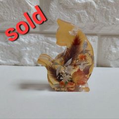 オレンジ猫さん(Thank you)