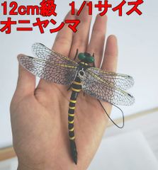 オニヤンマ 12cm級 トンボ 1/1 サイズ 昆虫 動物 虫除け 安全なピン付きおもちゃ おすすめ (1匹)