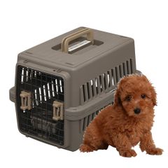 Item thumbnail for item b0ea0127-3291-4630-b3a5-ec13047e86e7