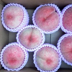 日本一空気の美味しい山形産 減農薬栽培 桃 あかつき 贈答大玉　２キロ箱満タン