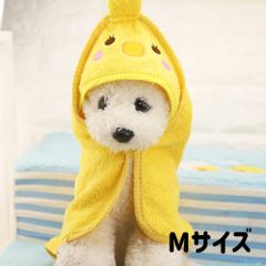 Item thumbnail for item 3fe2a819-a6fd-497a-8df9-662c0a6e15a4