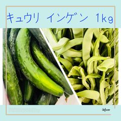 キュウリ インゲン 1kg