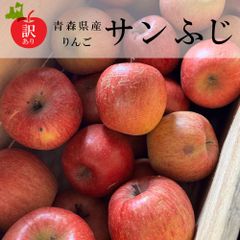 【新物訳あり】青森県産りんご（サンふじ）14玉（中玉）　5Kg～6Kg
