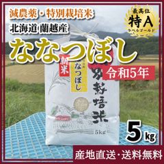 【令和5年新米・減農薬・特別栽培米】ななつぼし 5kg 北海道 蘭越産