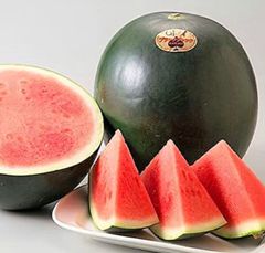 送料込み！富里産 ブラックジャック（種無し黒皮スイカ） 大玉7kg台 1 