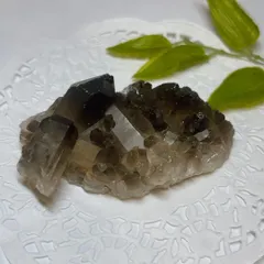 スモーキークォーツBIGシェル♡♡貝No.2342