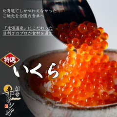 【北海道産】高級鮭いくら醤油漬け500g/(250g×2パック) 冷凍品