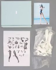 [중고] 피규어 모래 늑대 시로코 (수영 수영복) [블루 아카이브 -Blue Archive-] 1/7 레진 캐스트 키트