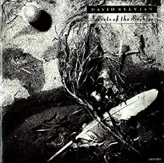 【希少限定盤CD】デヴィッド・シルヴィアン　いくつかの家に射し込む光 Amazon.co.jp: いくつかの家に射し込む光 - デイヴィッド