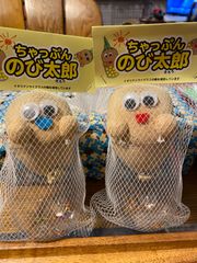 honmars様専用　ちゃっぷんのび太郎