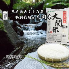 熊本県産【訳あり】 新玉ねぎ 春うらら【箱込み10kg】新たまねぎ 特別