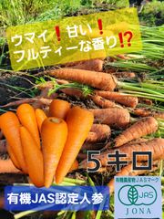 有機JAS人参　3L～Ｍ　訳あり　５キロ