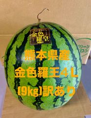 【産地直送・金色すいか・訳あり・６／１０以降発送可】熊本県産大玉スイカ　金色羅皇（４L：９㎏）訳あり　優品　自宅用