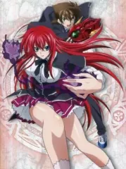 新品ケース付　ハイスクールD×D　1期～4期　DVD　全巻セット Amazon.co.jp: ハイスクールD×D 1期 コンプリート DVD-BOX (全12