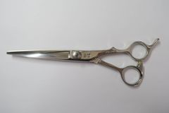 Item thumbnail for item 227000c3-04a8-4c6c-a1a5-e72be154f2f7