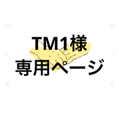 アイシングクッキー　TM1様専用ページ