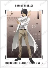 【非売品】シュタインズゲート ゼロ B2 サイズ ポスター ① 非売品】シュタインズゲート ゼロ B2 サイズ ポスター ① Amazon