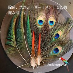 ◾️⭐︎【色んな羽根2】フェザー 鳥 羽 クジャク 孔雀 キジ スワッグ ドライフラワー