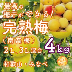和歌山県産　完熟南高梅‼️２Ｌ～Ｌサイズ混合‼️7kg　みかんキング 今ならまだ間に合う!!!] 完熟梅 南高梅 和歌山県 みなべ産 2kg