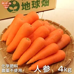 人参 4kg 冷蔵便 化学肥料・農薬不使用 鹿児島県産 宮崎県産 洗い にんじん ニンジン 人参ジュース用 発送期間2月～6月のサムネイル