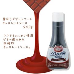 【２本セット】 雪印）デザートソース　チョコレートソース ５４０ｇ