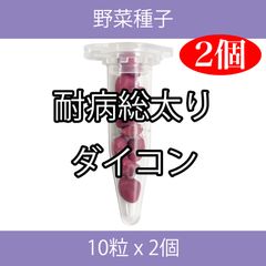 野菜種子 TVF10 耐病総太りダイコン 10粒 x 2個